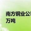 南方铜业公司：预计到2025年将年产铜100万吨