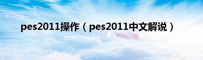 pes2011中文版的游戏特色（pes2011中文解说）