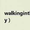 walkinginthesky谁唱的（walkinginthesky）