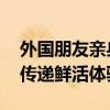 外国朋友亲身感受生动真实的中国:视频分享传递鲜活体验