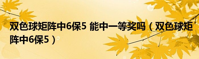 双色球6保5旋转矩阵工具（6保5双色球阵矩投注）