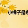 小橘子是哪个游戏的（小橘子的召唤）