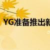 YG准备推出新组合，暂定叫Next Monster