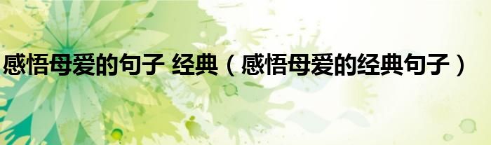 感悟母爱的经典语录（感慨母爱的经典句子）