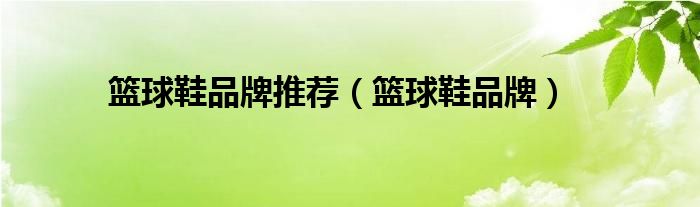 篮球鞋推荐品牌（篮球鞋推荐品牌国货）