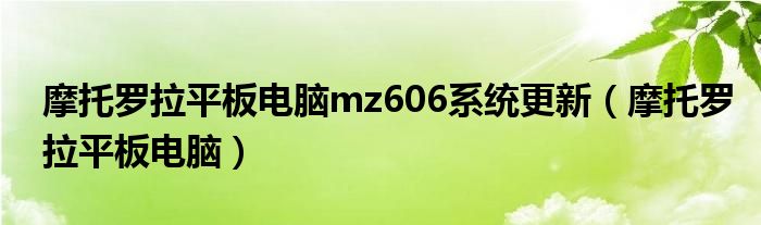 摩托罗拉平板mz606屏幕（摩托罗拉平板mz606接口）