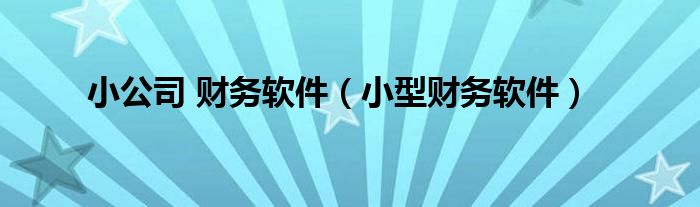 小型企业财务软件（简单好用的小公司财务软件）