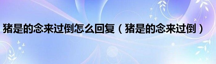 猪是的念来过倒怎么回复（猪是的念来过倒）
