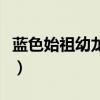 蓝色始祖幼龙的缰绳飞行速度（蓝色始祖幼龙）