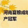 河南夏粮成绩哪家好？周口总产第一，焦作单产冠军