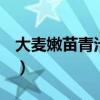 大麦嫩苗青汁功效与作用是真是假（damain）