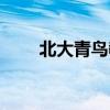 北大青鸟教材购买（北大青鸟教材）