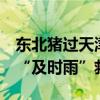 东北猪过天津被热趴 消防喷水降温 高速上演“及时雨”救援