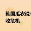 韩国瓜农说今年的西瓜白种了 洪水肆虐致歉收危机