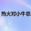 热火对小牛总决赛比分（热火对小牛总决赛）