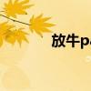 放牛party音乐（放牛party）