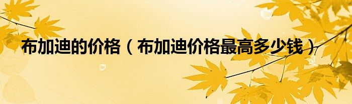 布加迪价格是多少人民币（布加迪chiron是布加迪威龙吗）