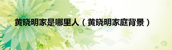 黄晓明家是哪里人（黄晓明的家庭背景怎么样）