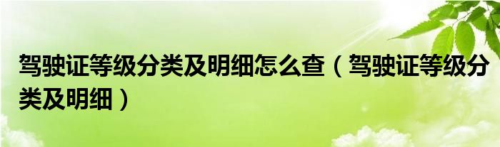 驾驶证各个等级（驾驶证等级分别是）