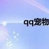 qq宠物npc（qq宠物古堡森林）