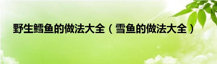 野生鳕鱼图片（野生雪鱼图片）