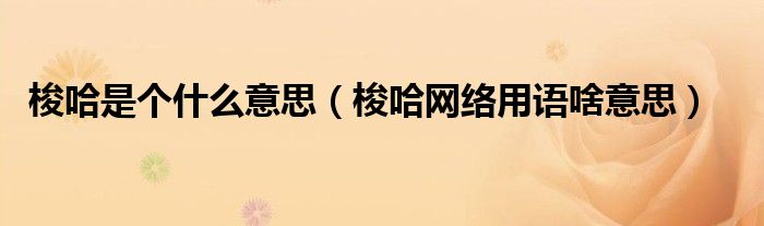 梭哈是什么意思流行语（梭哈是什么意思粤语）