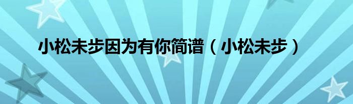 小松未步唱过哪些动漫的歌（小松未步没为哪部动漫作歌或作词）