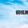 铜缆高速连接概念股震荡拉升