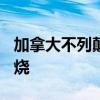 加拿大不列颠哥伦比亚省超400处山火持续燃烧