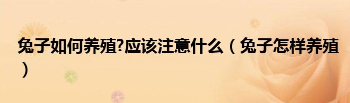 兔子如何养殖?应该注意什么（兔子如何养殖）