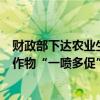 财政部下达农业生产防灾救灾资金20.37亿元 支持实施秋粮作物“一喷多促”