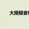 大规模食物中毒？字节跳动最新回应