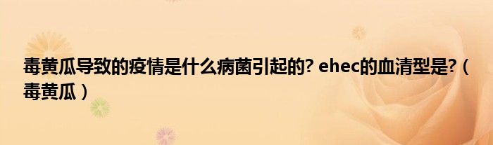 毒黄瓜导致的疫情是什么病菌引起的? ehec的血清型是?（毒黄瓜）