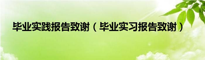 毕业实践报告致谢3000字（毕业实践报告致谢词）