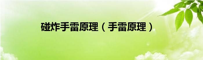 碰炸引信原理（碰炸引信作用原理动画gif）