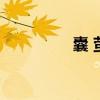 囊 萤映雪（谁囊萤映雪）