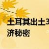 土耳其出土3500年前家具购物清单 揭示古经济秘密
