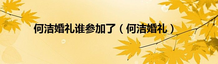 何洁结婚了么（何洁结婚了吗老公是谁）