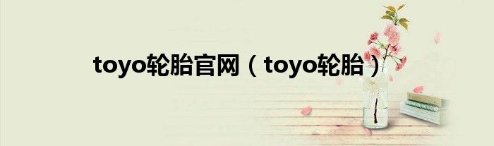 toyo drb轮胎（towin轮胎）