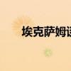 埃克萨姆谈手指受伤 奥运征程添阴霾