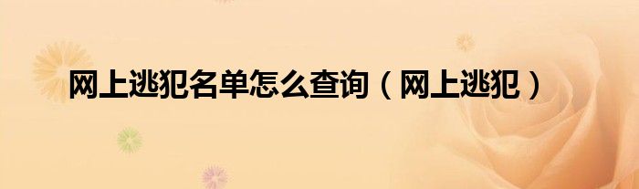 网上逃犯名单怎么查（怎么查网上逃犯名单）