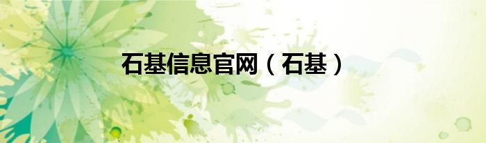 石基信息怎么样（石基信息是一家什么样的公司）