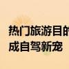 热门旅游目的地的房车“一车难求”，年轻人成自驾新宠