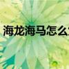 海龙海马怎么煲汤补腰（海龙海马怎么煲汤）
