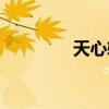 天心软件下载（天心外挂）