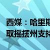 西媒：哈里斯搭档将选“白人男性”，旨在赢取摇摆州支持
