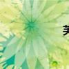 芙蓉姐夫（芙蓉姐）