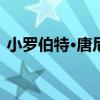 小罗伯特·唐尼回归复联5 饰反派杜姆引轰动