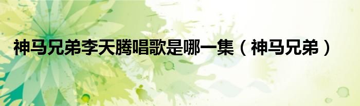 神马兄弟唱歌（神马兄弟李天腾最后唱的歌）