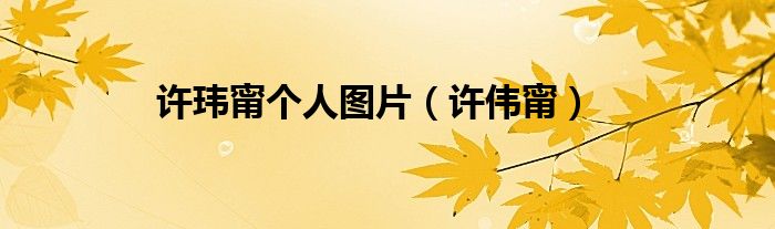 许玮甯个人资料星座（许玮甯个人图片）
